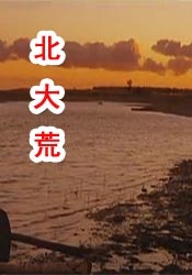 日本高清卡一卡二区卡